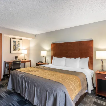 Comfort Inn SW Omaha I-80