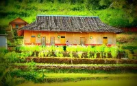 Mong Homestay Resort - Mountain view