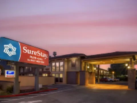 SureStay Plus Hotel by Best Western Mountain View Hotels in Mountain View
