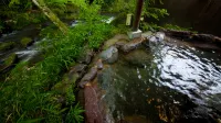 Yufuin Gettouan - Romantisk