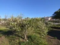 Villa in El Agar with Private Pool and Beaches