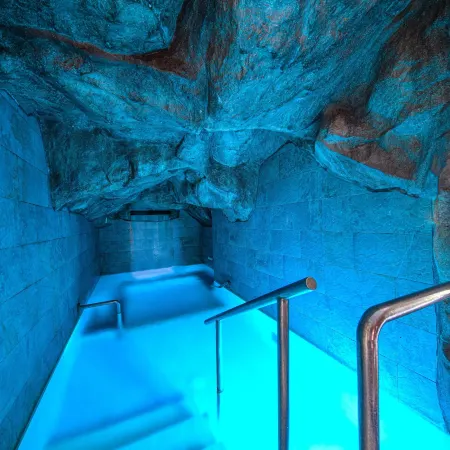 Hotel Terme President