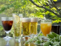 Grandia Housen - bar