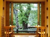Oku Nikko Mori No Hotel - Spa