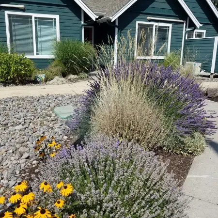 Location! Walk To Downtown And Old Mill - One Bedroom One Block From The River