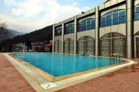 Sarot Termal Park Resort & Spa - Halal Hotel - Yüzme Havuzu