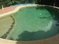 Atherton Blue Gum - Pools