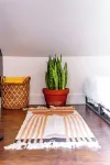 Jungle House Luxury Stays - Downtown Chillicothe - Homestays
