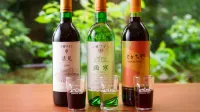 Hotel Daiheigen - bar