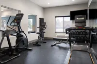 Holiday Inn Express & Suites Vernal - Dinosaurland by IHG - Gym