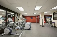 Hampton Inn & Suites Ogden - Gym