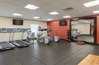 Hampton Inn Emerson LakePoint - Gym