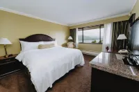 Crest Hotel - Wifi