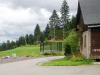 Mühlenmichelshäusle Hotels in Hinterzarten