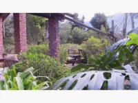 Forest Nest Cottage, Tsitsikamma Hotels near Storms River bridge