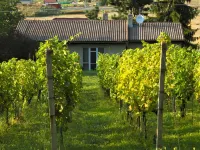 Milovice Hotels in 