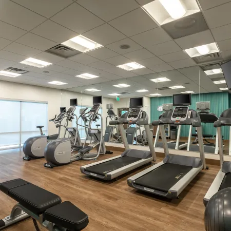 Holiday Inn Express & Suites GAINESVILLE - LAKE LANIER AREA by IHG