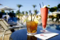 Exe Estepona Thalasso & Spa- Adults Only - bar