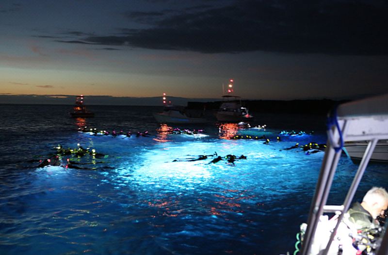 Holiday Inn Express & Suites Kailua-Kona by IHG photo 5