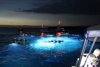 Holiday Inn Express & Suites KAILUA-KONA by IHG - Beach