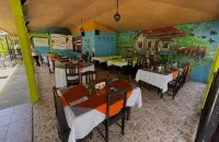 Hotel El Icaco Tortuguero Hotels in Tortuguero