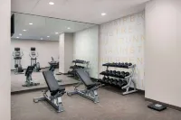 亞特蘭大肯尼索/鎮中心索尼斯塔ES套房飯店 - 健身房