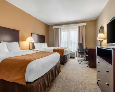 Comfort Suites Near Route 66 Hotels in Springfield
