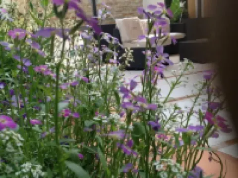 Hotel la Rosetta Scauri Hotels in Province of Latina