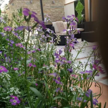 Hotel la Rosetta Scauri