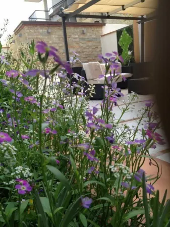 Hotel la Rosetta Scauri