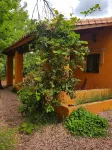 Finca la Viriñuela Hotels in Cortegana