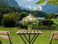 Jungfrau Hotel Annex Alpine-Inn Hôtels à : Wilderswil