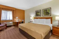 Quality Inn & Suites Raleigh Durham Airport
