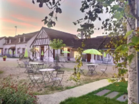 Logis Hôtel du Cygne Hotels in Bracieux