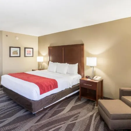 Comfort Inn Pensacola - University Area