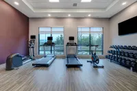 Hampton Inn & Suites by Hilton Burlington Toronto - Kuntosalit