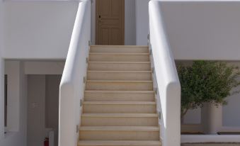 Lithos by Spyros & Flora
