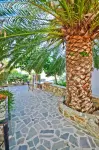 Sea View Apartments & Studios