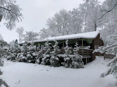 Russkii Les Hotels in 