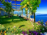 B&B Il Pavone - Bar