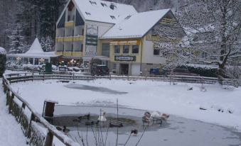 Hotel am Schwanenweiher