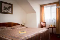 Bodrogi Kúria Wellness Hotel Hotels in Monor