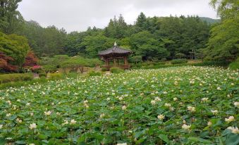 Gyeongju Zara Motel