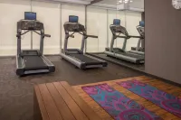 Fairfield Inn & Suites Richmond Ashland - Gym