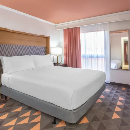 Holiday Inn & Suites BOCA RATON - NORTH by IHG
