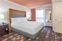 Holiday Inn & Suites BOCA RATON - NORTH by IHG