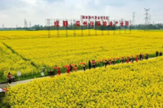 Chongzhou Yurun Homestay