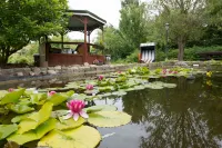Pension Deichgraf Middelhagen