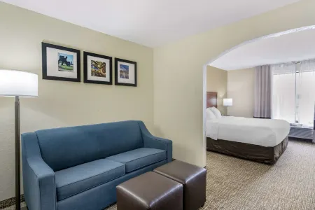 Comfort Inn & Suites la Grange - Louisville Area