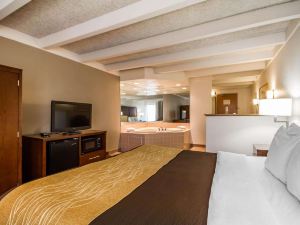 Comfort Inn & Suites Madison - Airport